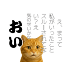 実はおしゃべりなオタ猫（個別スタンプ：2）