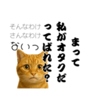 実はおしゃべりなオタ猫（個別スタンプ：3）