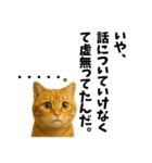 実はおしゃべりなオタ猫（個別スタンプ：6）