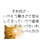 実はおしゃべりなオタ猫（個別スタンプ：9）