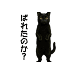実はおしゃべりなオタ猫（個別スタンプ：13）