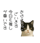 実はおしゃべりなオタ猫（個別スタンプ：14）