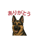 押しワン☆シェパード かしこカワイイ！（個別スタンプ：4）