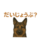 押しワン☆シェパード かしこカワイイ！（個別スタンプ：8）