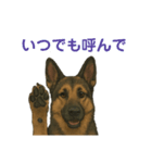 押しワン☆シェパード かしこカワイイ！（個別スタンプ：23）