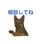 押しワン☆シェパード かしこカワイイ！（個別スタンプ：36）