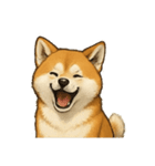 秋田犬★表情豊かなスタンプ（文字無し）（個別スタンプ：1）