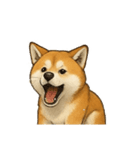 秋田犬★表情豊かなスタンプ（文字無し）（個別スタンプ：4）
