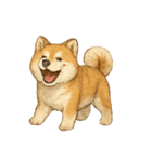 秋田犬★表情豊かなスタンプ（文字無し）（個別スタンプ：6）