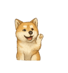 秋田犬★表情豊かなスタンプ（文字無し）（個別スタンプ：7）