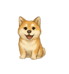 秋田犬★表情豊かなスタンプ（文字無し）（個別スタンプ：8）