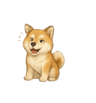 秋田犬★表情豊かなスタンプ（文字無し）（個別スタンプ：11）