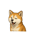 秋田犬★表情豊かなスタンプ（文字無し）（個別スタンプ：12）