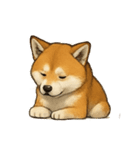 秋田犬★表情豊かなスタンプ（文字無し）（個別スタンプ：13）