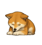 秋田犬★表情豊かなスタンプ（文字無し）（個別スタンプ：14）