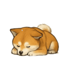 秋田犬★表情豊かなスタンプ（文字無し）（個別スタンプ：15）