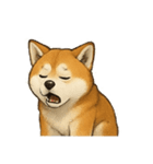 秋田犬★表情豊かなスタンプ（文字無し）（個別スタンプ：16）