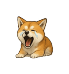 秋田犬★表情豊かなスタンプ（文字無し）（個別スタンプ：18）