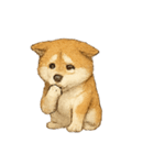秋田犬★表情豊かなスタンプ（文字無し）（個別スタンプ：20）