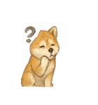 秋田犬★表情豊かなスタンプ（文字無し）（個別スタンプ：22）