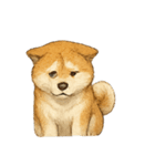 秋田犬★表情豊かなスタンプ（文字無し）（個別スタンプ：24）
