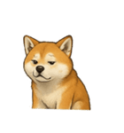秋田犬★表情豊かなスタンプ（文字無し）（個別スタンプ：25）