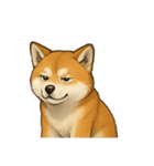 秋田犬★表情豊かなスタンプ（文字無し）（個別スタンプ：26）