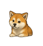 秋田犬★表情豊かなスタンプ（文字無し）（個別スタンプ：28）