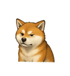 秋田犬★表情豊かなスタンプ（文字無し）（個別スタンプ：29）