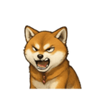 秋田犬★表情豊かなスタンプ（文字無し）（個別スタンプ：30）