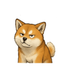 秋田犬★表情豊かなスタンプ（文字無し）（個別スタンプ：32）