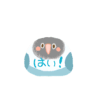 まんじゅうみたいなとりたち（個別スタンプ：9）