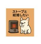 冬 白ブルさん（個別スタンプ：3）