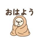 冬 白ブルさん（個別スタンプ：4）