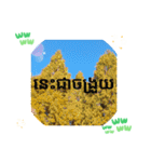 クメール語シェムリアップ州で日常挨拶元気（個別スタンプ：1）