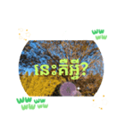 クメール語シェムリアップ州で日常挨拶元気（個別スタンプ：29）