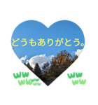 一番の宝物は今更だったんだ。日常挨拶（個別スタンプ：17）