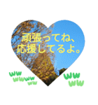 一番の宝物は今更だったんだ。日常挨拶（個別スタンプ：34）