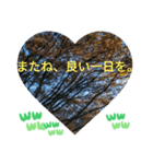 一番の宝物は今更だったんだ。日常挨拶（個別スタンプ：38）