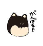大きい3しばいぬちゃん（個別スタンプ：8）