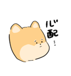 大きい3しばいぬちゃん（個別スタンプ：13）