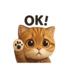 【スコティッシュ猫♪日常スタンプ】（個別スタンプ：5）