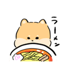 しばちゃん、今日何食べる？（個別スタンプ：4）