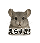 【褒め上手】リアルすぎるチンチラの一言（個別スタンプ：1）