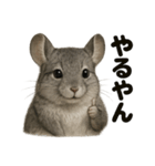 【褒め上手】リアルすぎるチンチラの一言（個別スタンプ：2）