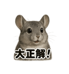 【褒め上手】リアルすぎるチンチラの一言（個別スタンプ：3）