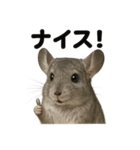【褒め上手】リアルすぎるチンチラの一言（個別スタンプ：7）