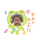 キノコの可愛いスタンプ（個別スタンプ：5）