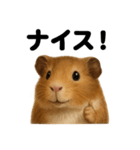 【褒め上手】リアルすぎるモルモット（個別スタンプ：3）