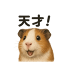 【褒め上手】リアルすぎるモルモット（個別スタンプ：12）
